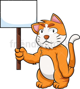 猫的卡通人物举着空牌子。PNG - JPG和矢量EPS(无限扩展)。图像隔离在透明背景上。
